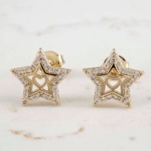 34034-TOPO-CORAZON-ESTRELLA-CIRCONES-CIRCONES-RODEADO-1.jpg TOPO CORAZÓN ESTRELLA CIRCONES CIRCONES RODEADO